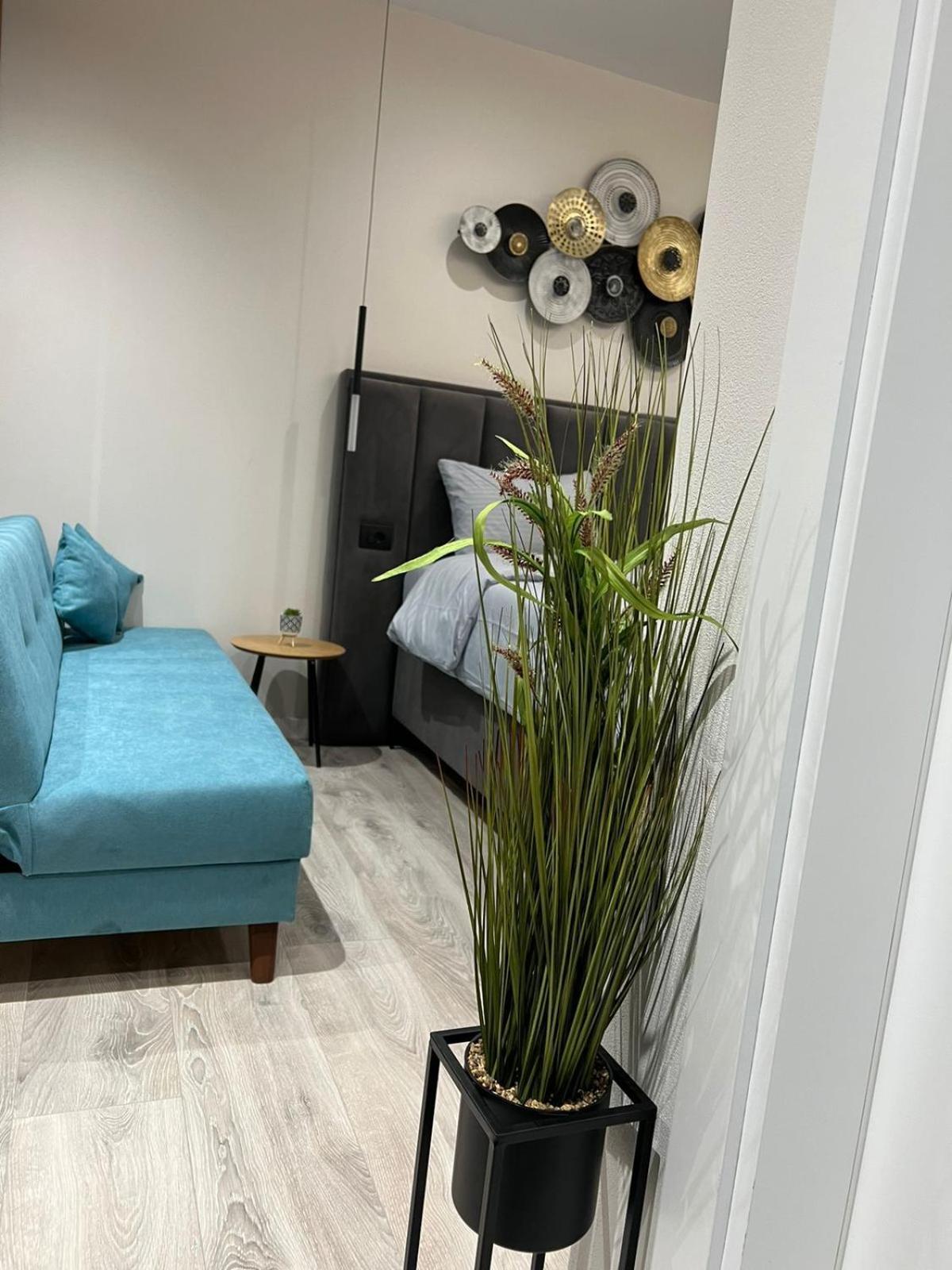 Apartment Shkodra Studio Apartment Shkoder